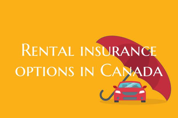 Rental insurance options in ...